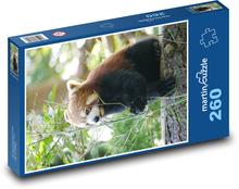 Panda červená Puzzle 260 dielikov - 41 x 28,7 cm 
