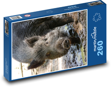 Diviak v blate Puzzle 260 dielikov - 41 x 28,7 cm 