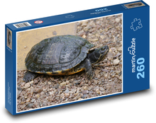 Reptile - turtle Puzzle 260 pieces - 41 x 28.7 cm 