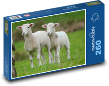 Lämmer auf der Weide Puzzle 260 Teile - 41 x28,7 cm