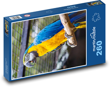 Papuga - ptak, zoo Puzzle 260 elementów - 41x28,7 cm
