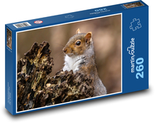Eichhörnchen - Nagetier, Tier Puzzle 260 Teile - 41 x28,7 cm