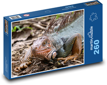 Leguán - Kostarika, plaz Puzzle 260 dílků - 41 x 28,7 cm