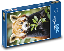 Panda červená na obědě Puzzle 260 dílků - 41 x 28,7 cm