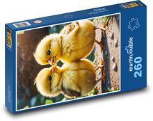 Żółte kurczaki Puzzle 260 elementów - 41x28,7 cm