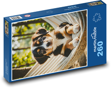 Štěně v houpající síti Puzzle 260 dílků - 41 x 28,7 cm