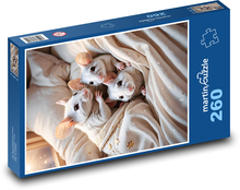 Białe myszy w łóżku Puzzle 260 elementów - 41x28,7 cm