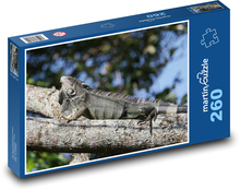 Lizard Puzzle 260 pieces - 41 x 28.7 cm 