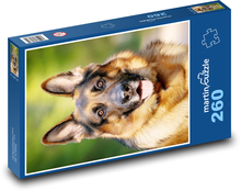 Pes - Nemecký ovčiak Puzzle 260 dielikov - 41 x 28,7 cm 