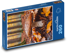 Huby v lese Puzzle 260 dielikov - 41 x 28,7 cm