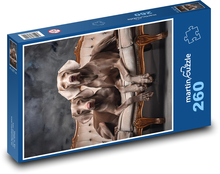 Pes - Weimarský stavač Puzzle 260 dielikov - 41 x 28,7 cm