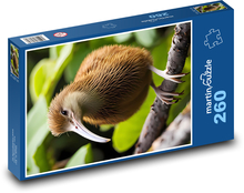 Vták kivi Puzzle 260 dielikov - 41 x 28,7 cm 