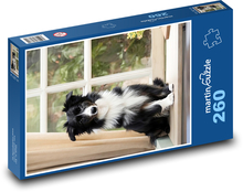 Pes - border kólia Puzzle 260 dielikov - 41 x 28,7 cm 