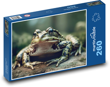 Grüner Frosch Puzzle 260 Teile - 41 x28,7 cm