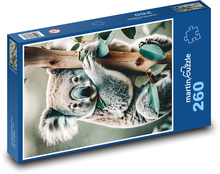Koala na stromě Puzzle 260 dílků - 41 x 28,7 cm