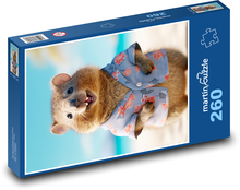 Veverka v košili Puzzle 260 dílků - 41 x 28,7 cm