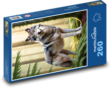 The wolf in the forest Puzzle 260 pieces - 41 x 28.7 cm 