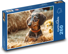 Pies - jamnik Puzzle 260 elementów - 41x28,7 cm