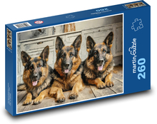 Pes - německý ovčák Puzzle 260 dílků - 41 x 28,7 cm