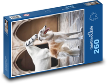 Borzoi - dog Puzzle 260 pieces - 41 x 28.7 cm 