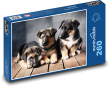 Německý ovčák - štěňata Puzzle 260 dílků - 41 x 28,7 cm