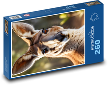 Klokan Puzzle 260 - 41x28,7 cm