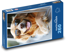 Golden retriever w okularach Puzzle 260 elementów - 41x28,7 cm