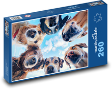Fantasiehunde Puzzle 260 Teile - 41 x28,7 cm