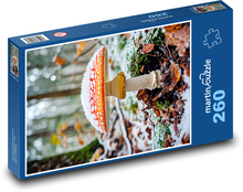 Muchomůrka v zimě Puzzle 260 dílků - 41 x 28,7 cm