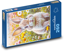 Králík Puzzle 260 dílků - 41 x 28,7 cm