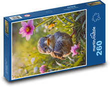 Pták na jaře Puzzle 260 dílků - 41 x 28,7 cm
