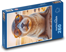 A seal in glasses Puzzle 260 pieces - 41 x 28.7 cm 