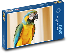 Papuga Puzzle 260 elementów - 41x28,7 cm