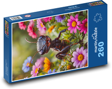Mravec Puzzle 260 dielikov - 41 x 28,7 cm 