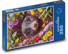 Mole Puzzle 260 pieces - 41 x 28.7 cm