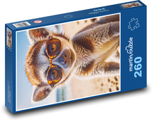Lemur v brýlích Puzzle 260 dílků - 41 x 28,7 cm