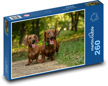 Psy - jazvečíky Puzzle 260 dielikov - 41 x 28,7 cm