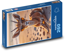 Gazelle Puzzle 260 pieces - 41 x 28.7 cm 