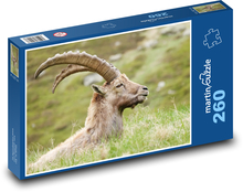 koziorożec Puzzle 260 elementów - 41x28,7 cm