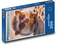 Jeż w okularach Puzzle 260 elementów - 41x28,7 cm