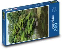 Black pine Puzzle 260 pieces - 41 x 28.7 cm 