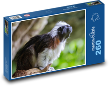 Affe  Puzzle 260 Teile - 41 x28,7 cm