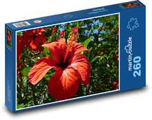 Czerwony hibiskus Puzzle 260 elementów - 41x28,7 cm