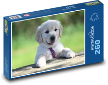 Golden Retriever Puppy Puzzle 260 pieces - 41 x 28.7 cm 