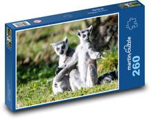 Lemury w trawie Puzzle 260 elementów - 41x28,7 cm