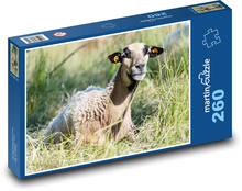 Owce leżące w trawie Puzzle 260 elementów - 41x28,7 cm