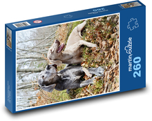 psy Puzzle 260 dielikov - 41 x 28,7 cm 