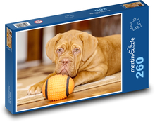 Great Dane of Bordeaux - dog Puzzle 260 pieces - 41 x 28.7 cm 