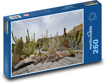 Lanzarote - Kakteen Puzzle 260 Teile - 41 x28,7 cm