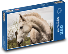 Dziki koń Puzzle 260 elementów - 41x28,7 cm